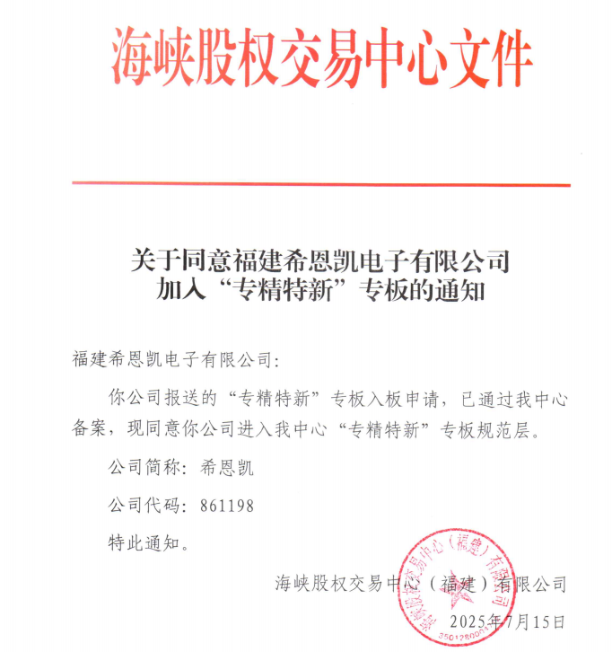 CNK အီလက်ထရွန်နစ်သည် 