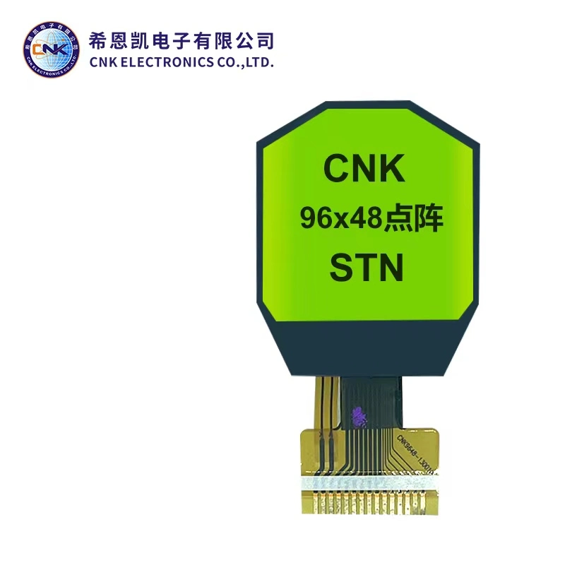 ဂရပ်ဖစ် LCD module